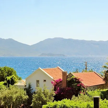 Yuksel Sogut (Aegean)