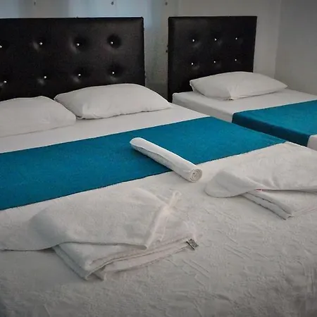 Homestay Yuksel Sogut (Aegean)