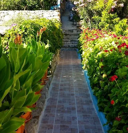 Homestay Yuksel Sogut (Aegean)