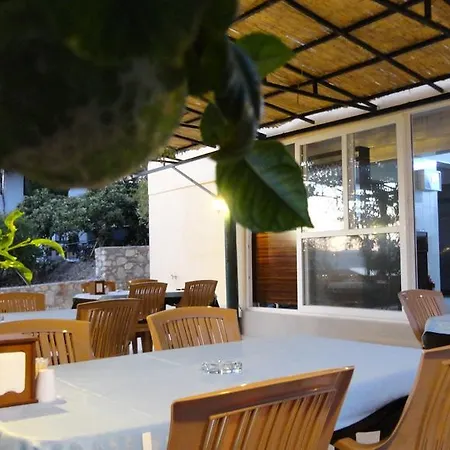 Homestay szállás Yuksel Sogut
