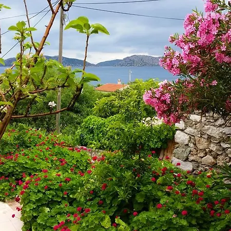 Homestay szállás Yuksel Sogut